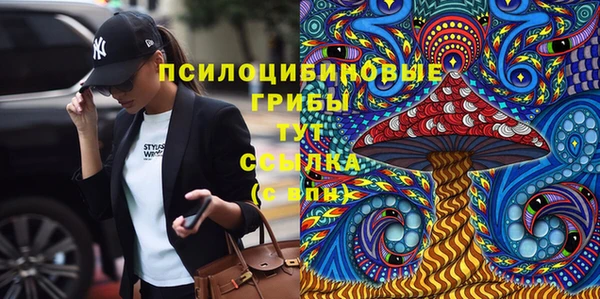 прущие крисы Верхний Тагил
