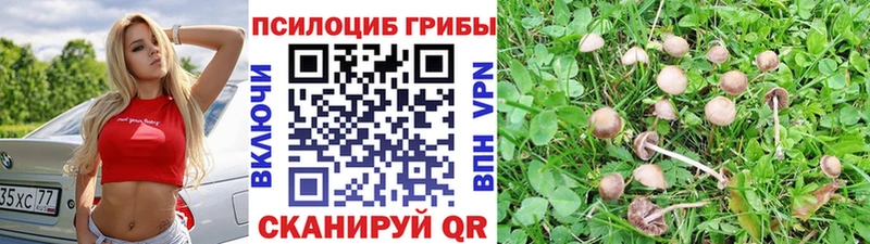 Галлюциногенные грибы прущие грибы  Новосибирск 